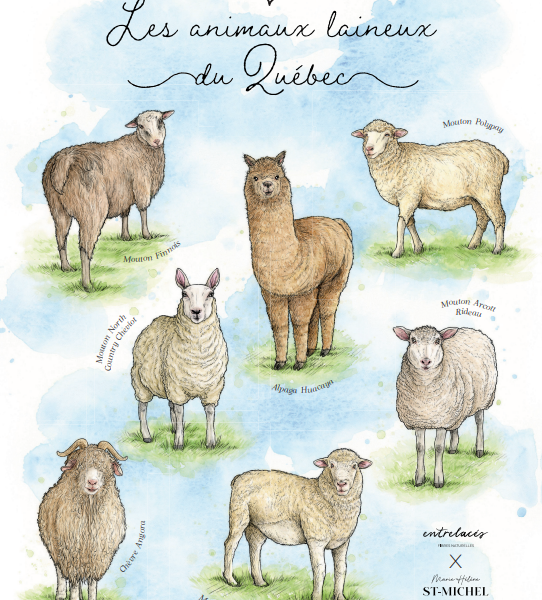 affiche dart animaux à fibres du québec